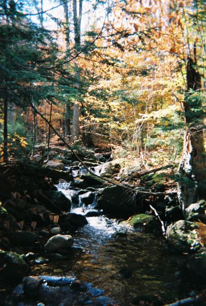 fall in New Hampshire